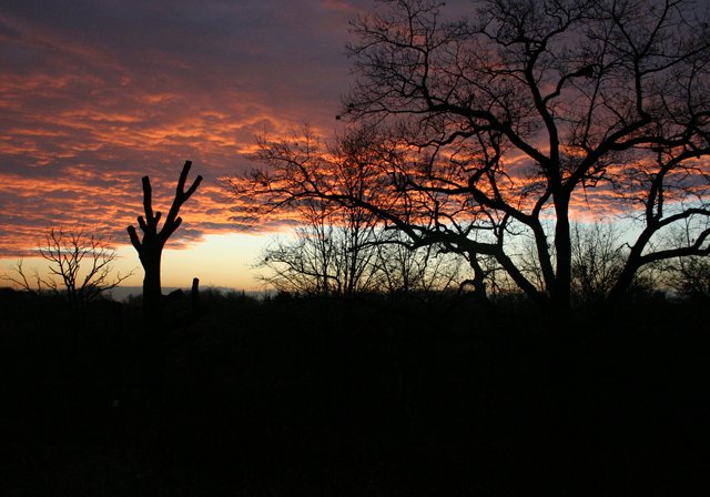 photo 0021.jpg